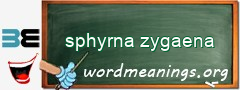 WordMeaning blackboard for sphyrna zygaena